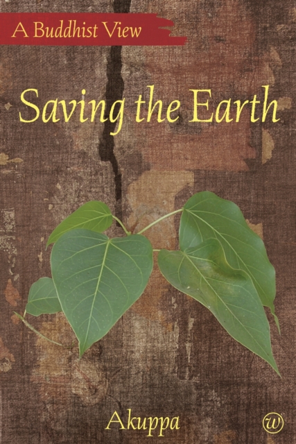 Saving the Earth, EPUB eBook