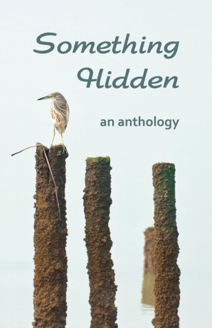 Something Hidden, Paperback / softback Book