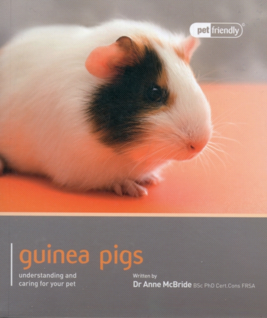 Guinea Pig - Pet Friendly, Paperback / softback Book