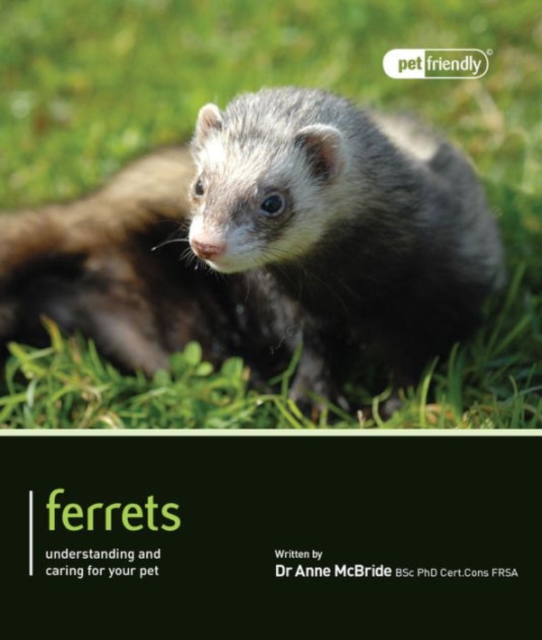 Ferrets - Pet Friendly, Paperback / softback Book