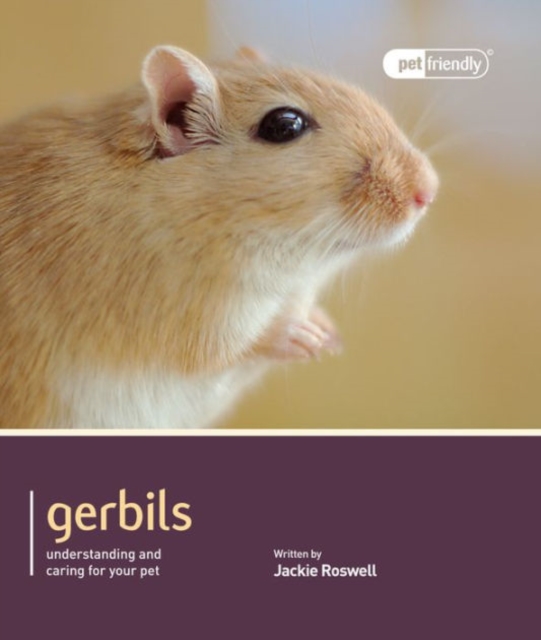 Gerbils - Pet Friendly, Paperback / softback Book