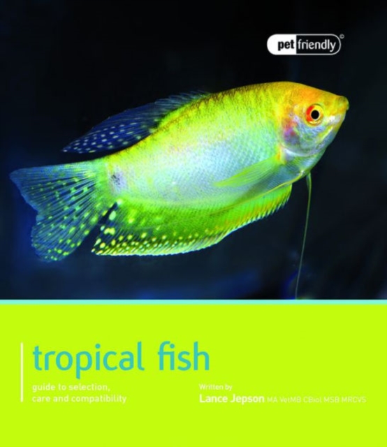 Tropical Fish - Pet Friendly, Paperback / softback Book
