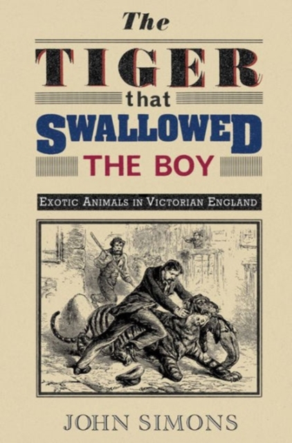 Tiger That Swallowed the Boy, Paperback / softback Book