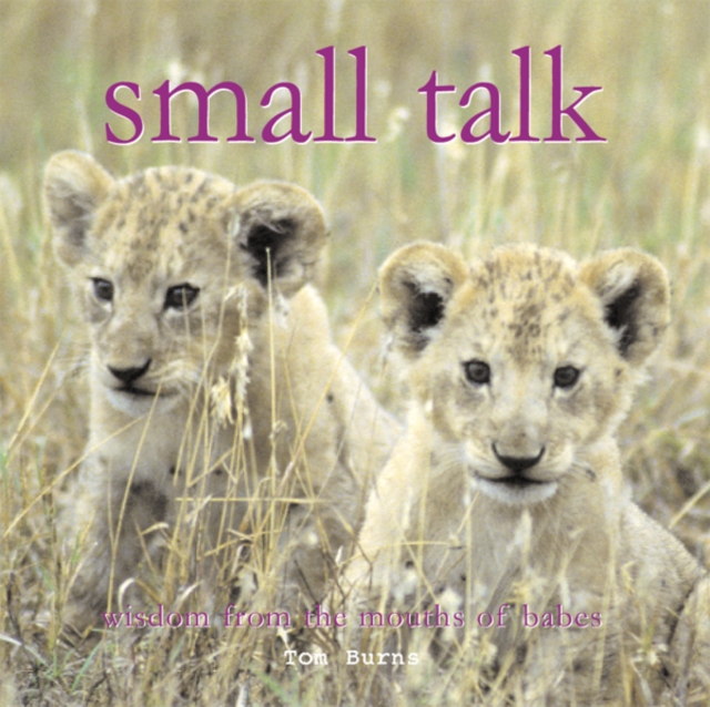 Small Talk, EPUB eBook