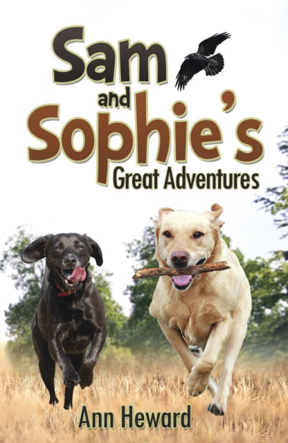 Sam and Sophie's Great Adventures, Paperback Book