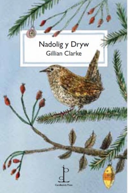 Nadolig y Dryw (The Christmas Wren), Paperback / softback Book