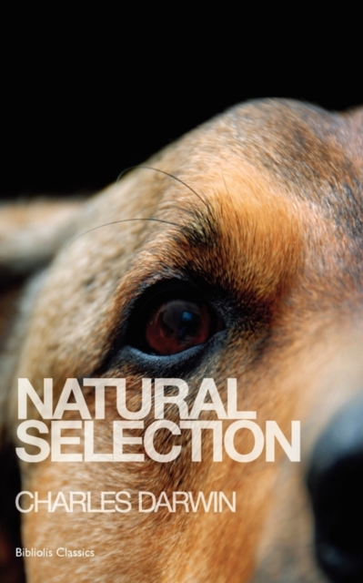 Natural Selection, Paperback / softback Book