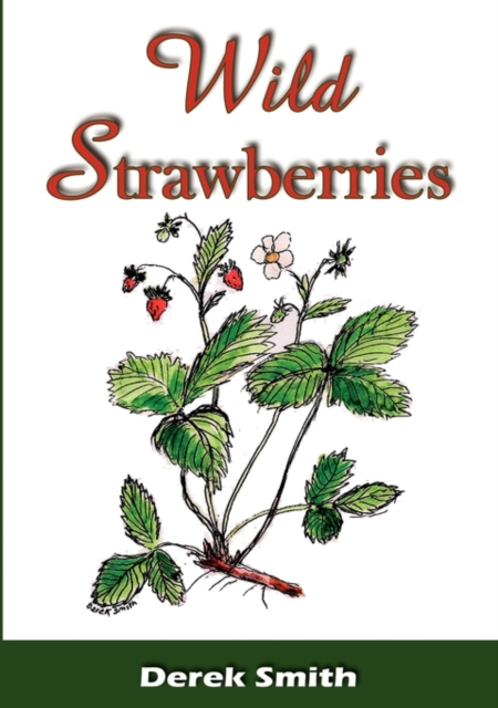 Wild Strawberries, Paperback / softback Book