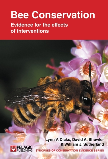 Bee Conservation : Evidence for the effects of interventions, Paperback / softback Book