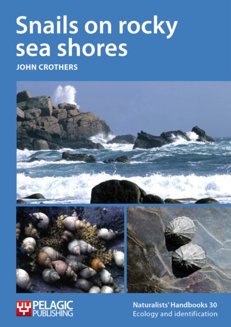 Snails on rocky sea shores, Paperback / softback Book