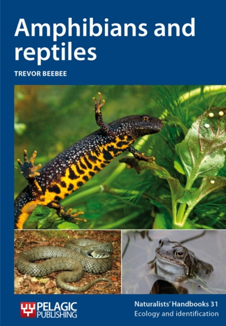 Amphibians and reptiles, PDF eBook