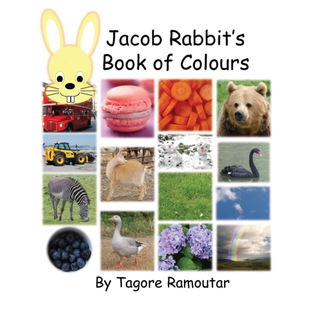 Jacob Rabbit's Book of Colour, Paperback / softback Book