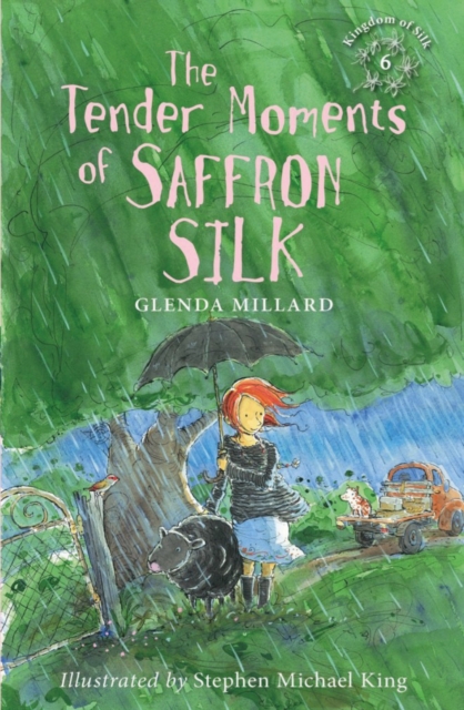 The Tender Moments of Saffron Silk, Paperback / softback Book