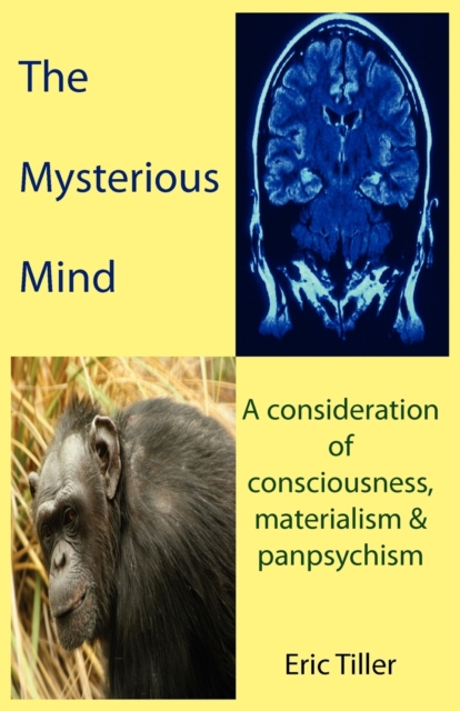 The Mysterious Mind : A Consideration of Consciousness, Materialism & Panpsychism, Paperback / softback Book