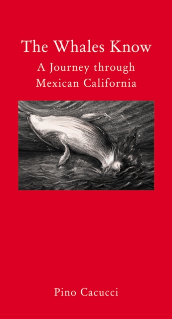 The Whales Know : A Journey through Mexican California, EPUB eBook