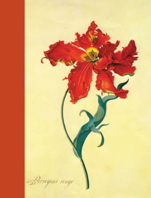 Journal : Parrot Tulip, Hardback Book