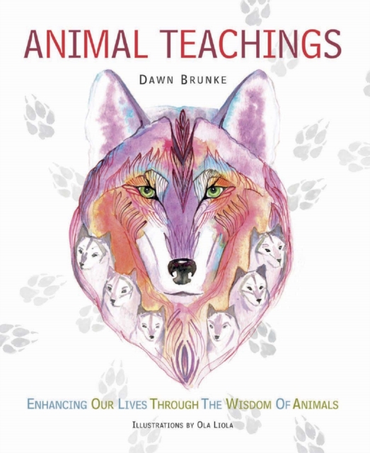 Animal Teachings : Enhancing Our Lives Through the Wisdom of Animals, Paperback / softback Book