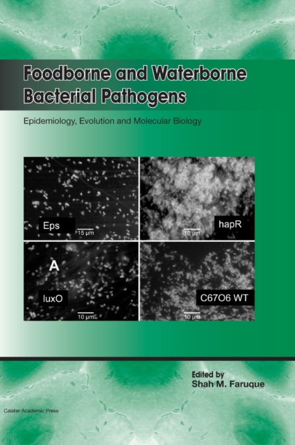 Foodborne and Waterborne Bacterial Pathogens: Epidemiology, Evolution and Molecular Biology, Hardback Book