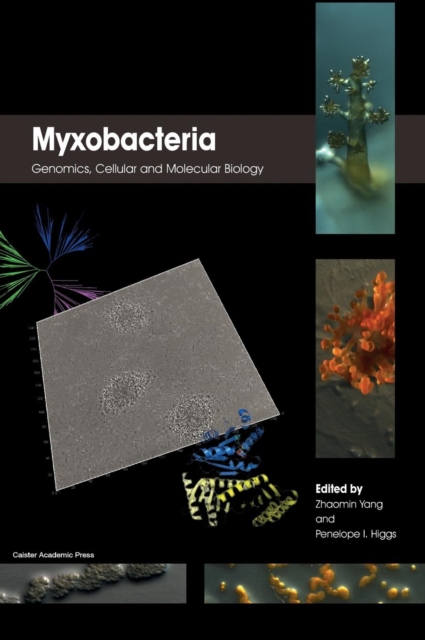 Myxobacteria : Genomics, Cellular and Molecular Biology, Hardback Book
