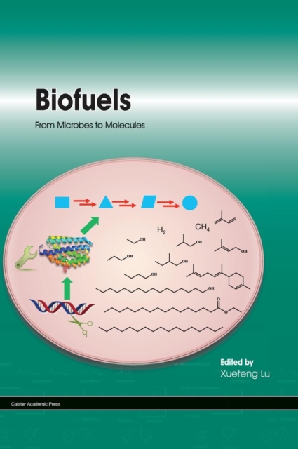 Biofuels : From Microbes to Molecules, Hardback Book