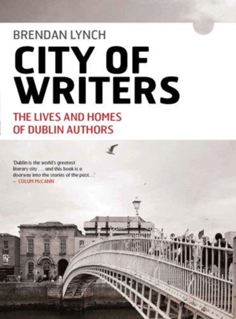 City of Writers : The Lives and Homes of Dublin Authors, Paperback / softback Book