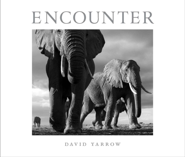 Encounter, Hardback Book