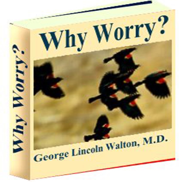 Why Worry ?, eAudiobook MP3 eaudioBook