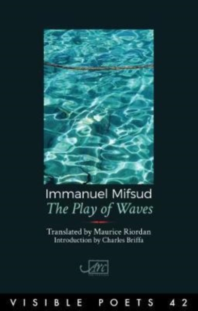 The Play of Waves, Hardback Book