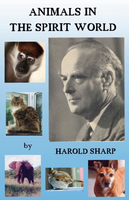 Animals in the Spirit World, Paperback / softback Book