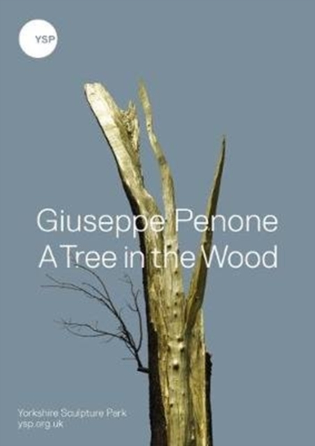 Giuseppe Penone : A Tree in the Wood, Hardback Book