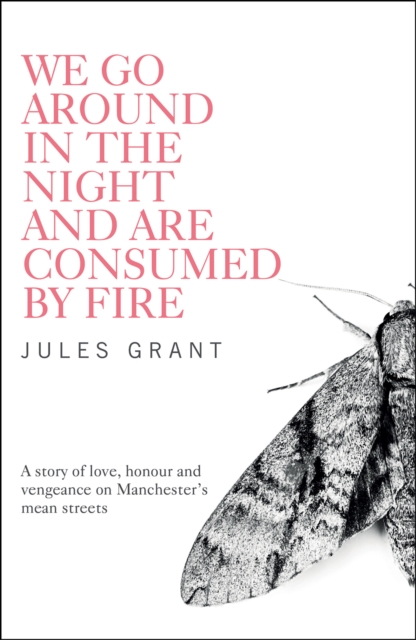 We Go Around in the Night and are Consumed by Fire, Paperback / softback Book