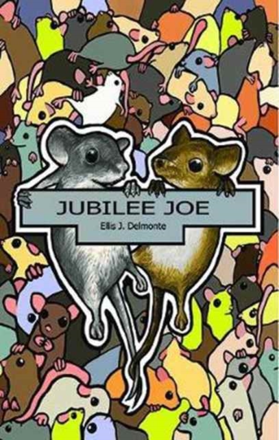 Jubilee Joe, Paperback / softback Book
