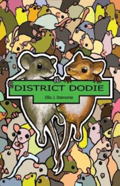 District Dodie, Paperback / softback Book