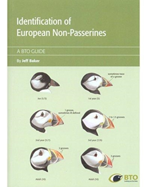 Identification Guide of European Non-Passerines, Paperback / softback Book