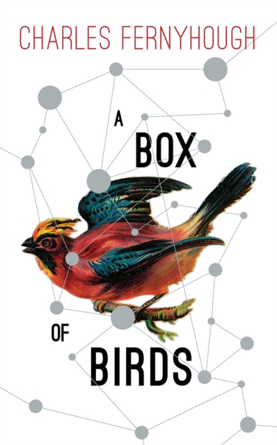 A Box of Birds, Paperback / softback Book