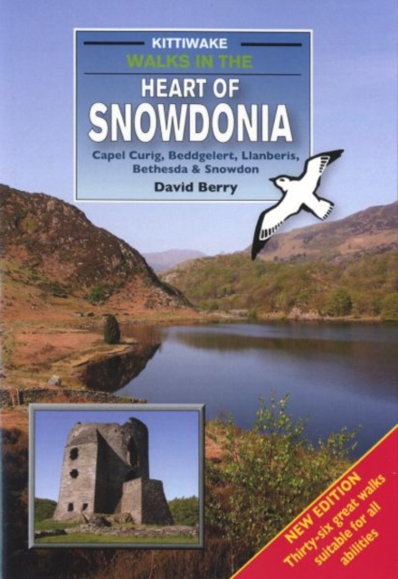 Walks in the Heart of Snowdonia, Paperback / softback Book
