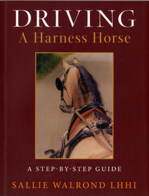Driving a Harness Horse, Paperback / softback Book