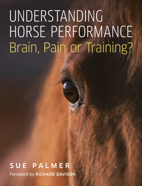 Understanding Horse Performance : Brain, Pain or Training?, Paperback / softback Book