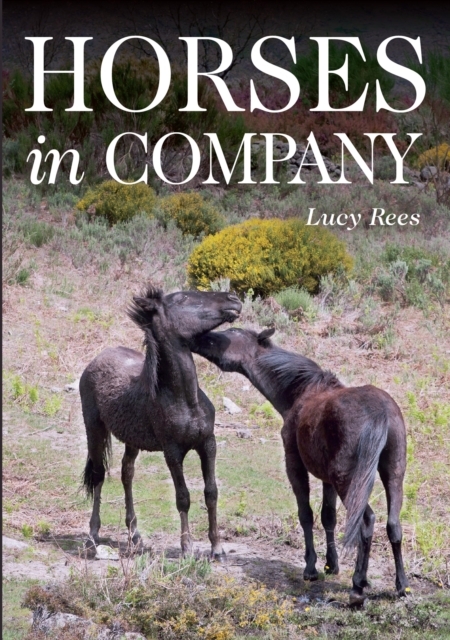 Horses in Company, EPUB eBook