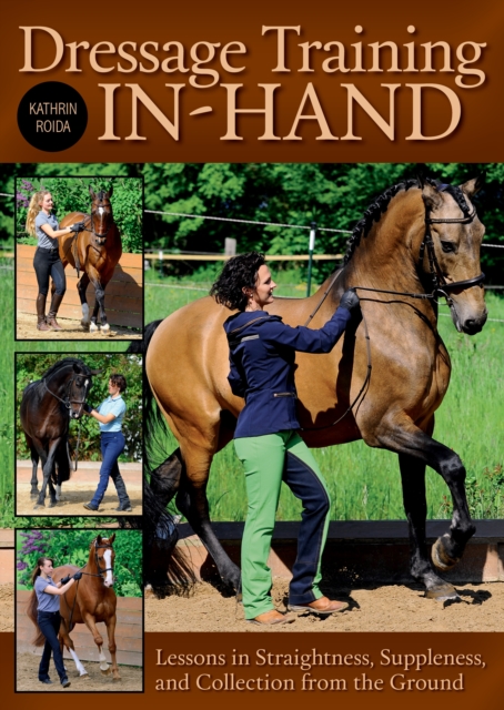 Dressage Training In-Hand : Lessons in Straightness, Suppleness, and Collection from the Gound, Hardback Book