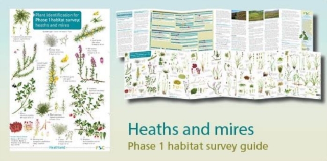 Plant identification for Phase 1 habitat survey: heaths and meres, Paperback / softback Book