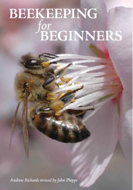 Beekeeping for Beginners, Paperback / softback Book