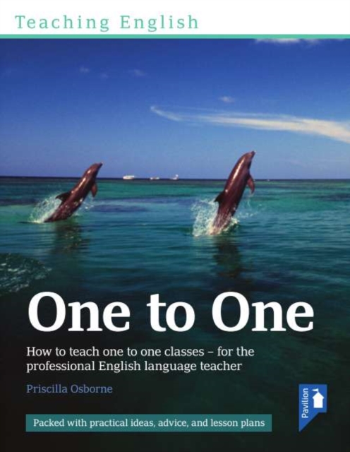 Teaching English One to One : How to teach one-to-one classes - for the professional English language teacher, PDF eBook