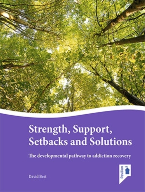 Strength, Support, Setbacks and Solutions : Putting Personalisation and Recovery into Practice, Paperback / softback Book