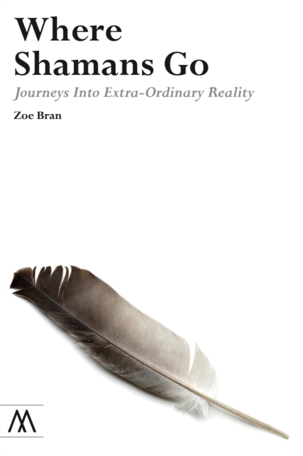 Where Shamans Go : Journeys into Extra-ordinary Reality, Paperback / softback Book