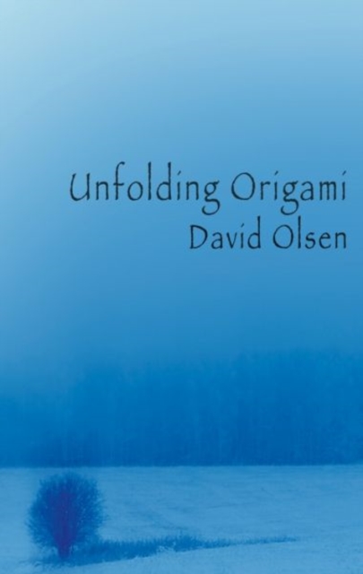 Unfolding Origami, Paperback / softback Book