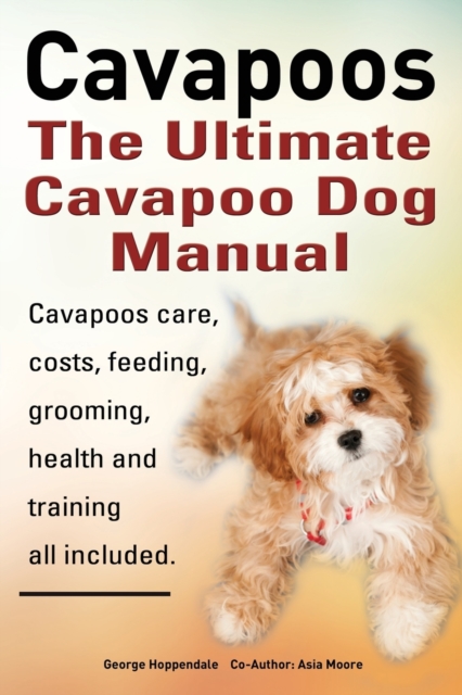 Cavapoos: The Ultimate Cavapoo Dog Manual : Cavapoos Care, Costs, Feeding, Grooming, Health and Training, Paperback / softback Book