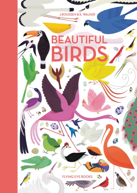Beautiful Birds, Hardback Book