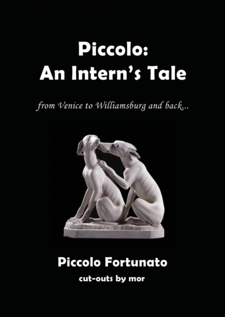 Piccolo: An Intern's Tale, Paperback / softback Book