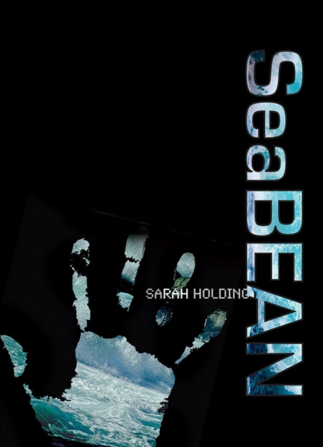 Seabean : Book 1 of the Seabean Trilogy, Paperback / softback Book